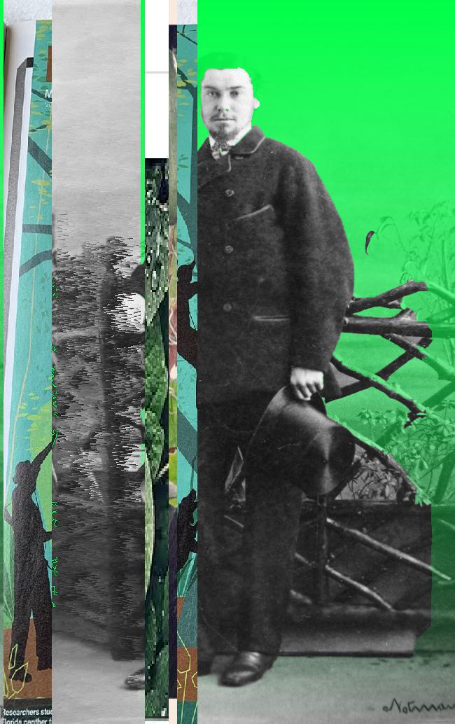 Oeuvre du bot Pröspect pour le gisement des archives du Musée McCord, Canada