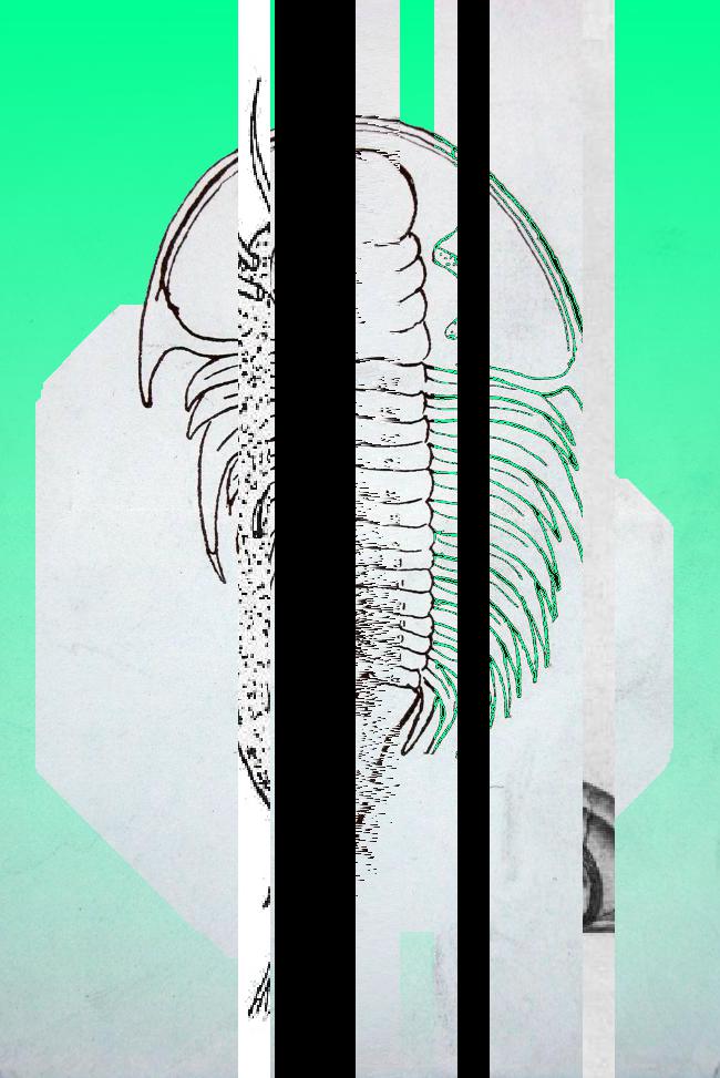 Oeuvre du bot Pröspect pour le gisement des archives du Musée McCord, Canada