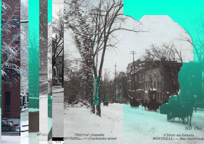 Oeuvre du bot Pröspect pour le gisement des archives du Musée McCord, Canada