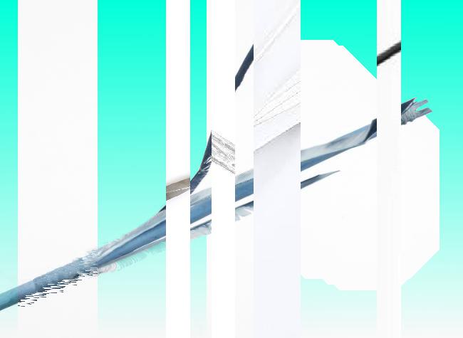 Oeuvre du bot Pröspect pour le gisement des archives du Musée McCord, Canada