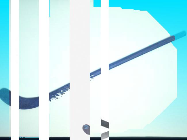 Oeuvre du bot Pröspect pour le gisement des archives du Musée McCord, Canada