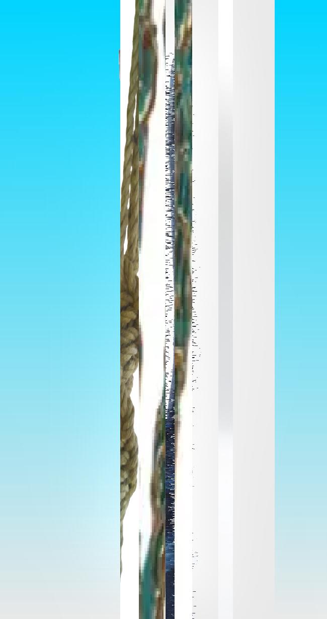 Oeuvre du bot Pröspect pour le gisement des archives du Musée McCord, Canada