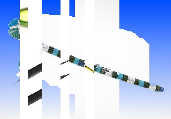 Oeuvre du bot Pröspect pour le gisement des archives du Musée McCord, Canada