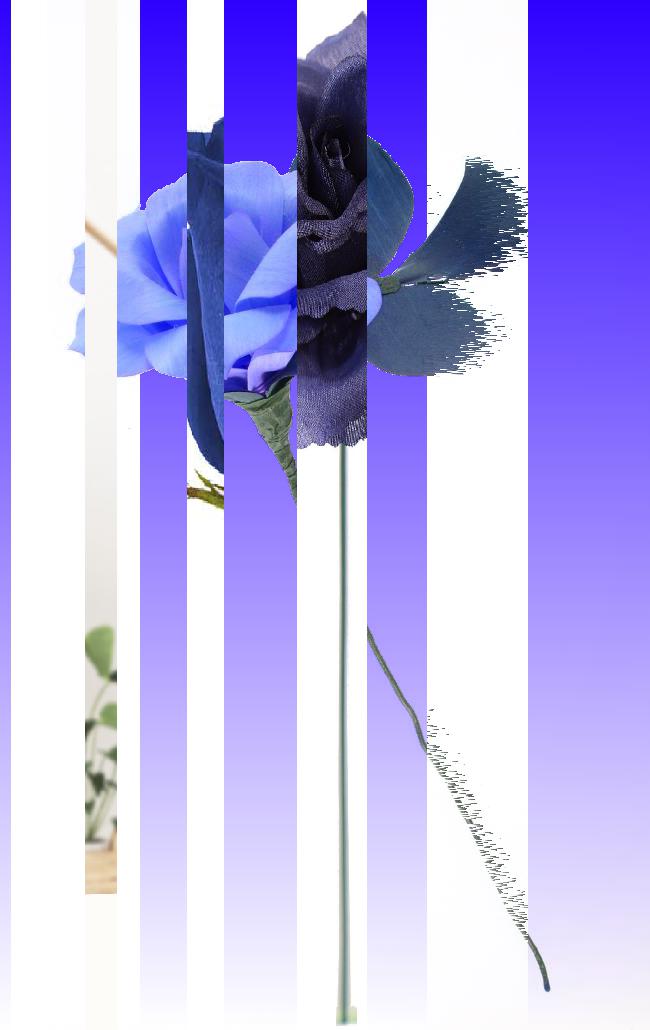 Oeuvre du bot Pröspect pour le gisement des archives du Musée McCord, Canada