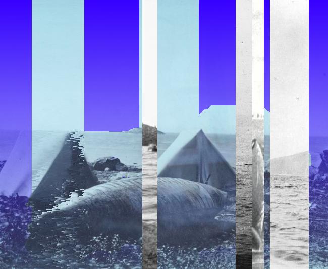 Oeuvre du bot Pröspect pour le gisement des archives du Musée McCord, Canada