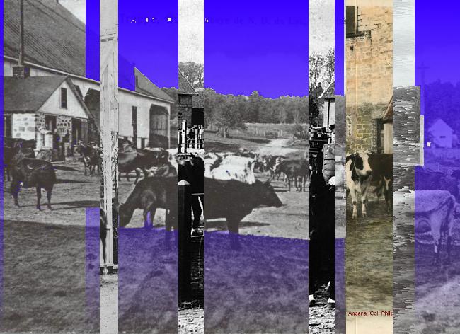 Oeuvre du bot Pröspect pour le gisement des archives du Musée McCord, Canada