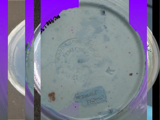 Oeuvre du bot Pröspect pour le gisement des archives du Musée McCord, Canada