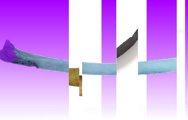 Oeuvre du bot Pröspect pour le gisement des archives du Musée McCord, Canada