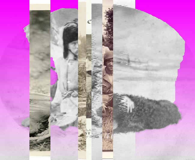 Oeuvre du bot Pröspect pour le gisement des archives du Musée McCord, Canada