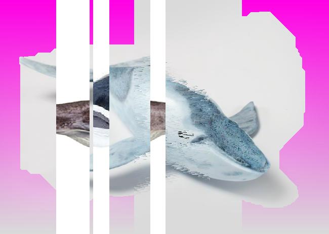 Oeuvre du bot Pröspect pour le gisement des archives du Musée McCord, Canada