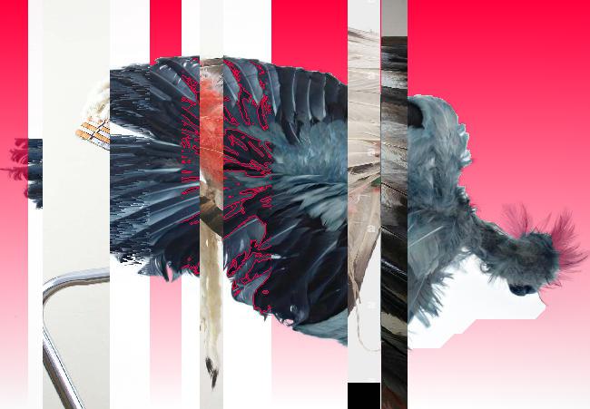 Oeuvre du bot Pröspect pour le gisement des archives du Musée McCord, Canada