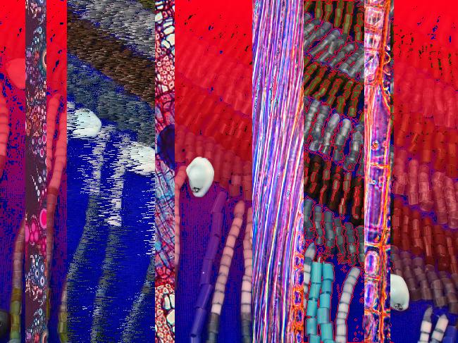 Oeuvre du bot Pröspect pour le gisement des archives du Musée McCord, Canada