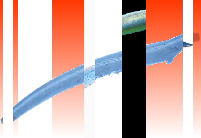 Oeuvre du bot Pröspect pour le gisement des archives du Musée McCord, Canada