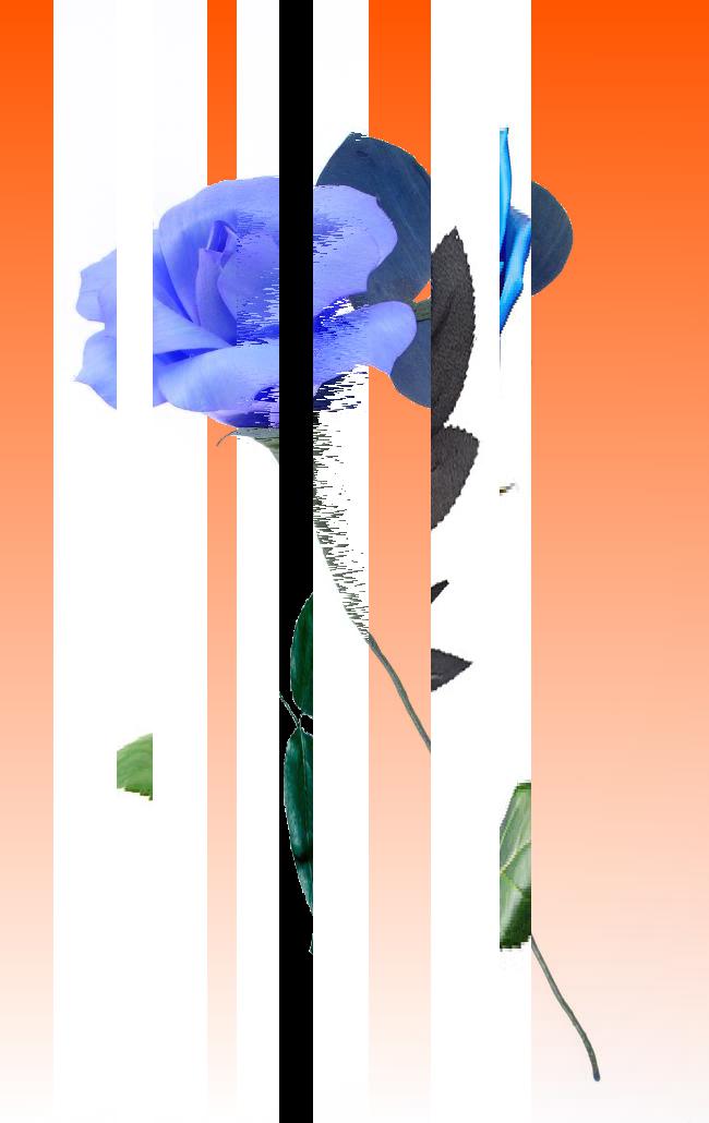 Oeuvre du bot Pröspect pour le gisement des archives du Musée McCord, Canada