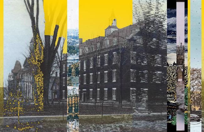 Oeuvre du bot Pröspect pour le gisement des archives du Musée McCord, Canada