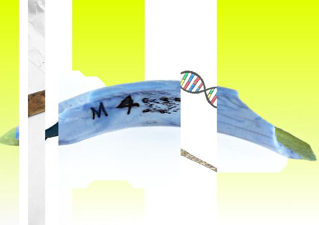 Oeuvre du bot Pröspect pour le gisement des archives du Musée McCord, Canada