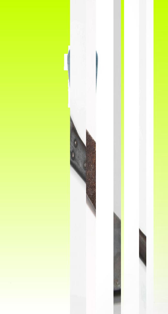 Oeuvre du bot Pröspect pour le gisement des archives du Musée McCord, Canada