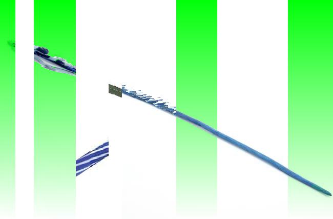 Oeuvre du bot Pröspect pour le gisement des archives du Musée McCord, Canada