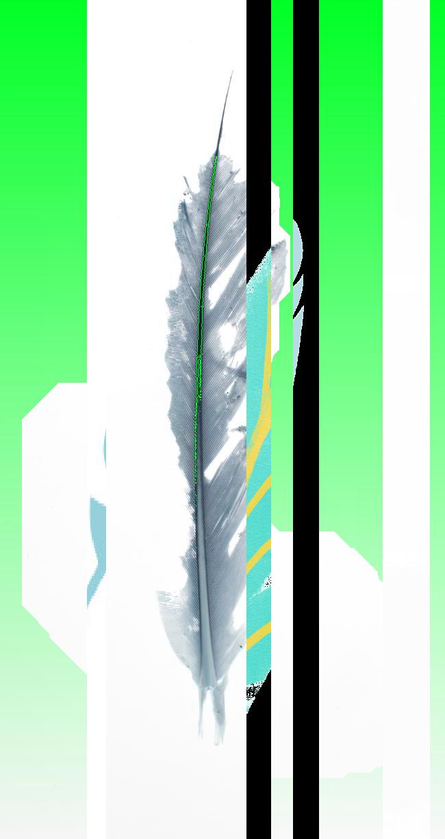 Oeuvre du bot Pröspect pour le gisement des archives du Musée McCord, Canada