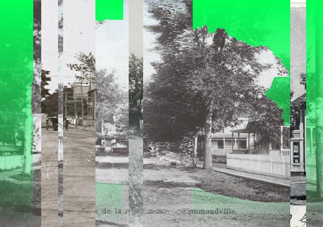 Oeuvre du bot Pröspect pour le gisement des archives du Musée McCord, Canada